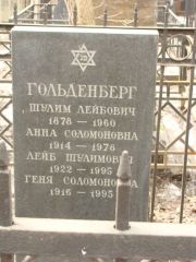 Гольденберг Геня Соломоновна, Москва, Востряковское кладбище