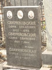 Свириновский Ефим Захарович, Москва, Востряковское кладбище