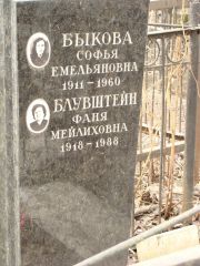 Блувштейн Фаня Мейлиховна, Москва, Востряковское кладбище
