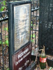 Розенман Евгений Аронович, Москва, Востряковское кладбище