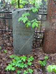 Поташник Гитля Аврумовна, Москва, Востряковское кладбище