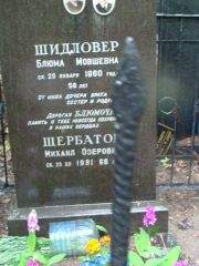 Шидловер Блюма Мовшевна, Москва, Востряковское кладбище