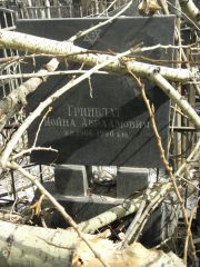 Гринблат Иойна Авраамович, Москва, Востряковское кладбище