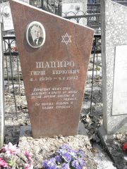 Шапиро Гирш Беркович, Москва, Востряковское кладбище