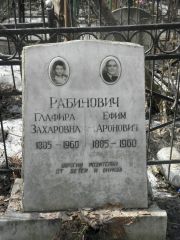 Рабинович Ефим Аронович, Москва, Востряковское кладбище