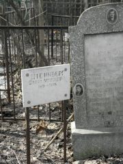 Штейнберг Фаина Моисеевна, Москва, Востряковское кладбище