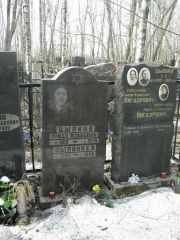 Цыпина Фрида Исааковна, Москва, Востряковское кладбище