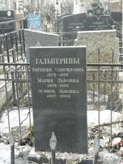 Гальперина Евгения Самуиловна, Москва, Востряковское кладбище