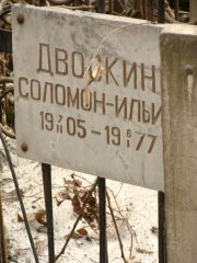 Двоскин Соломон Ильич, Москва, Востряковское кладбище