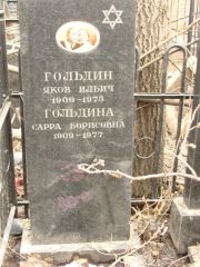 Гольдина Сарра Борисовна, Москва, Востряковское кладбище