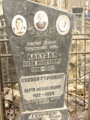 Какузин Яков Моисеевич, Москва, Востряковское кладбище