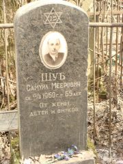 Шуб Самуил Меерович, Москва, Востряковское кладбище