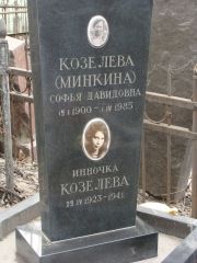 Козелева-Минкина Софья Давидовна, Москва, Востряковское кладбище
