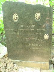 Спектор Израиль Маркович, Москва, Востряковское кладбище