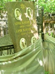 Брискман Т. М., Москва, Востряковское кладбище