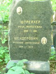 Шендерович Розалия Яковлевна, Москва, Востряковское кладбище