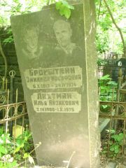 Бронштейн Зинаида Иосифовна, Москва, Востряковское кладбище