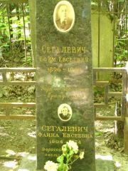 Сегалевич Ефим Евсеевич, Москва, Востряковское кладбище