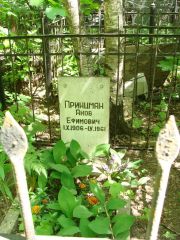 Принцман Яков Ефимовна, Москва, Востряковское кладбище