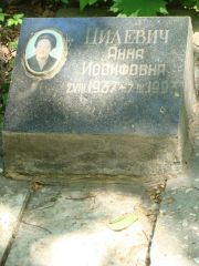 Цилевич Анна Иосифовна, Москва, Востряковское кладбище