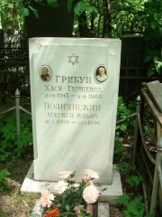 Познянский Матвей Ильич, Москва, Востряковское кладбище
