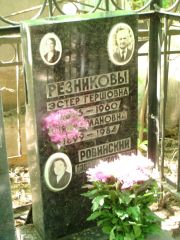 Ровинский Давид Григорьевич, Москва, Востряковское кладбище