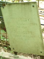 Рапопорт Софья Львовна, Москва, Востряковское кладбище