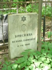 Брискина Нехама Хаимовна, Москва, Востряковское кладбище