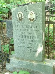 Гольдштейн Лея Ицковна-Эльевна, Москва, Востряковское кладбище