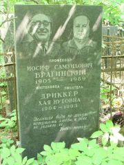 Брагинский Иосиф Самуилович, Москва, Востряковское кладбище