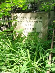 Низгурецкий Абрам Пейсахович, Москва, Востряковское кладбище