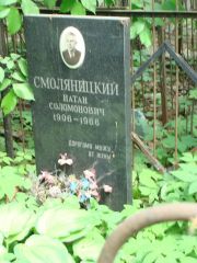 Смоляницкий Натан Соломонович, Москва, Востряковское кладбище
