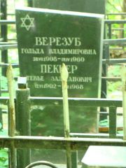 Верезуб Гольда Владимировна, Москва, Востряковское кладбище
