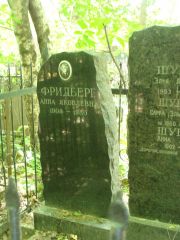 Фридберг Анна Яковлевна, Москва, Востряковское кладбище