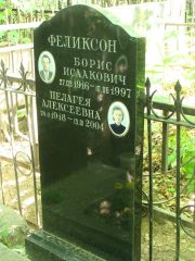 Феликсон Борис Исаакович, Москва, Востряковское кладбище