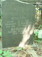 Шапиро Исаак Яковлевич, Москва, Востряковское кладбище