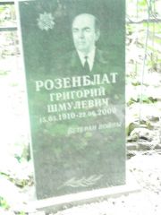 Розенблат Григорий Шмулевич, Москва, Востряковское кладбище