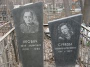 Якович Петр Хаймович, Москва, Востряковское кладбище