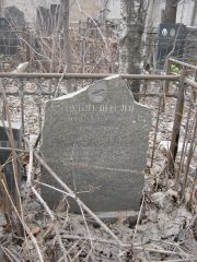 Рубинштейн Дора Иосифовна, Москва, Востряковское кладбище