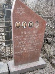 Местецкая Хана Мееровна, Москва, Востряковское кладбище
