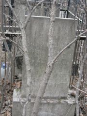 Розенблюм Борис Данилович, Москва, Востряковское кладбище