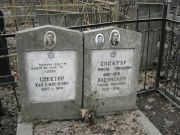 Спектор Янкель Мордкович, Москва, Востряковское кладбище