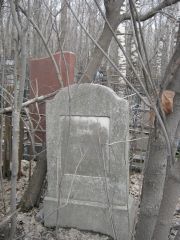Левин С. С., Москва, Востряковское кладбище