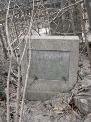 Баскин Абрам Эммануилович, Москва, Востряковское кладбище
