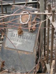 Шахновский Арон Моисеевич, Москва, Востряковское кладбище