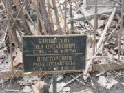 Блинштейн Лев Цудакович, Москва, Востряковское кладбище