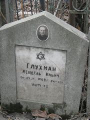 Глухман Мендель Ильич, Москва, Востряковское кладбище