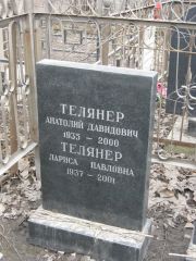 Телянер Анатолий Давидович, Москва, Востряковское кладбище