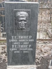 Телянер Давид Моисеевич, Москва, Востряковское кладбище