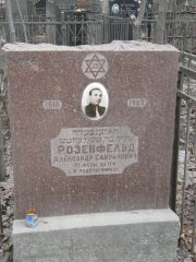 Розенфельд Александр Самуилович, Москва, Востряковское кладбище